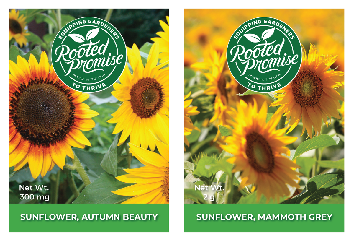 Seed Bundle, 2 Pack, Sunflower